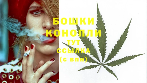 СК Бугульма