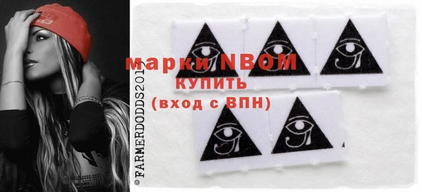 хмурый Бронницы