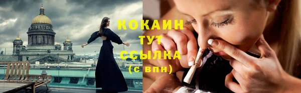 таблы Бородино