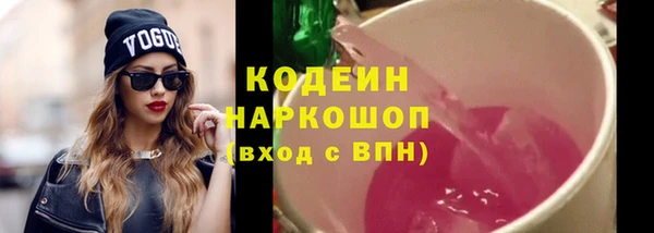 таблы Бородино