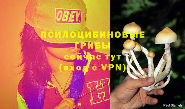 СК Бугульма
