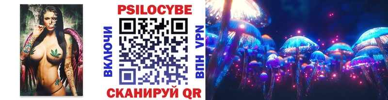 ссылка на мегу вход  купить  сайты  Минусинск  Галлюциногенные грибы Psilocybe 